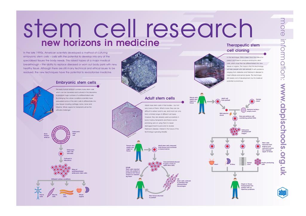 stem cell research scholarly articles